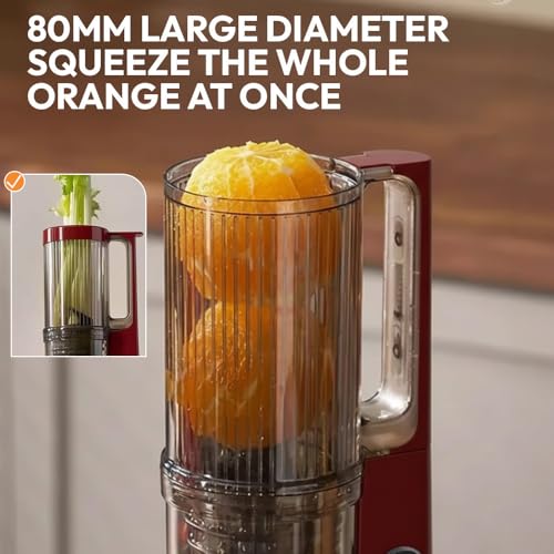 Image of Toree Cold Press Slow Juicer Machine with 8cm Wide Feed Chute | 98% Juice Extraction, Metal-Free Filter, 250W Power, 500ml Capacity, Easy Cleaning with 1 Year Free Replacement Warranty 81306 56959