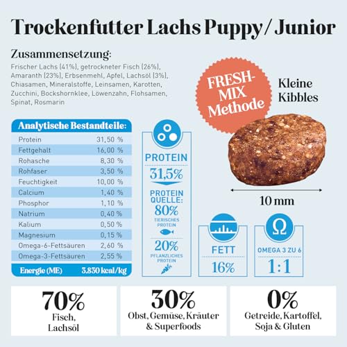 THE GOODSTUFF Lachs (Puppy/Junior) 2,5 kg | Getreidefreies Hunde Trockenfutter Junior | Mit frischem Lachs | Hundetrockenfutter für Welpen & Junghunde | Ausgewogenes Super-Premium Welpen Trockenfutter
