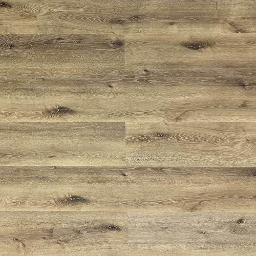 TRECOR® LVT Dryback - Suelo de vinilo adhesivo resistente al agua, decoración de madera maciza, 2 mm de grosor (roble rústico claro, suelo de vinilo de 1 m²)