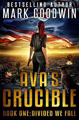 Divided We Fall: A Post-Apocalyptic Novel of America's Coming Civil War (Ava's Crucible Book 1)