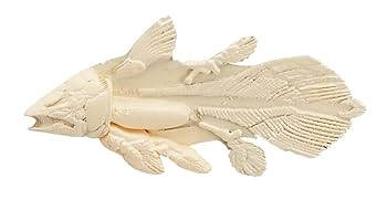 PRIMAL SPIDER KAISEI クッション Spider™ Products - Kenchii Grooming