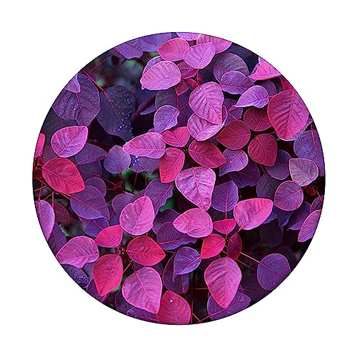Purple Popsocket Cute Purple PopSockets for Women Purple PopSockets Swappable PopGrip, Black - Image 3
