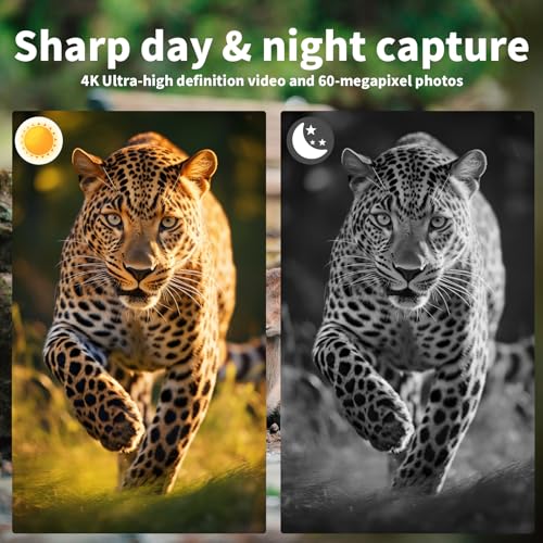 Wildkamera, 4K Wildtierkamera, Nachtsichtkamera, 32MP Tierkamera mit Bewegungsmelder Nachtsicht, 32GB SD Karte & IP66 Wasserdicht 0,1s Auslösezeit, Bewegungssensor, Infrarot-Nachtsicht bis 20m