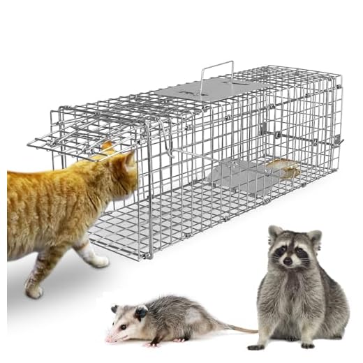 Collapsible Humane Animal Cage Trap for Multiple Species