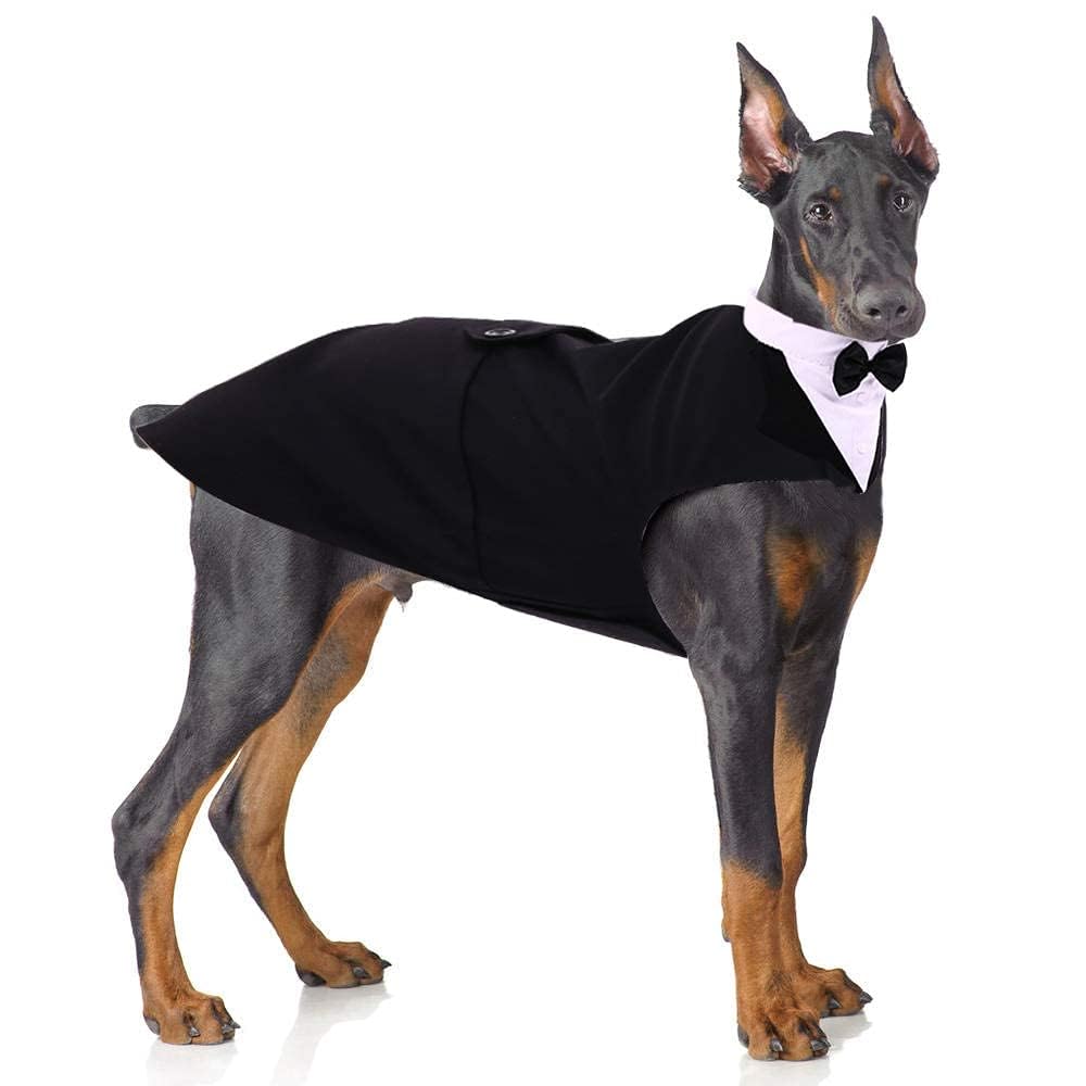 PUMYPOREITY Dog Tuxedo and Bandana Set