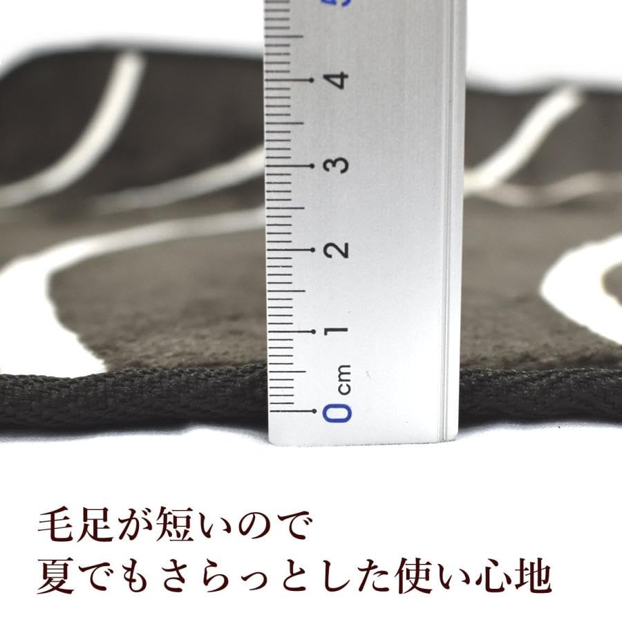 Amazon | MORITA 電気カーペット 2畳 ホットカーペット カバー付