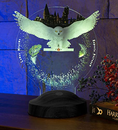 Lampe Harry Potter Avec Lumière LED – Déco De Chambre Super Sympa, Idéale Pour Les Fans !