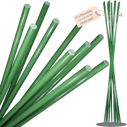 10 x sehr stabile Pflanzenstütze 1 m x 10 mm, Staudenhalter, Pflanzenhalter, Blumenhalter, Pflanzen Stütze,...