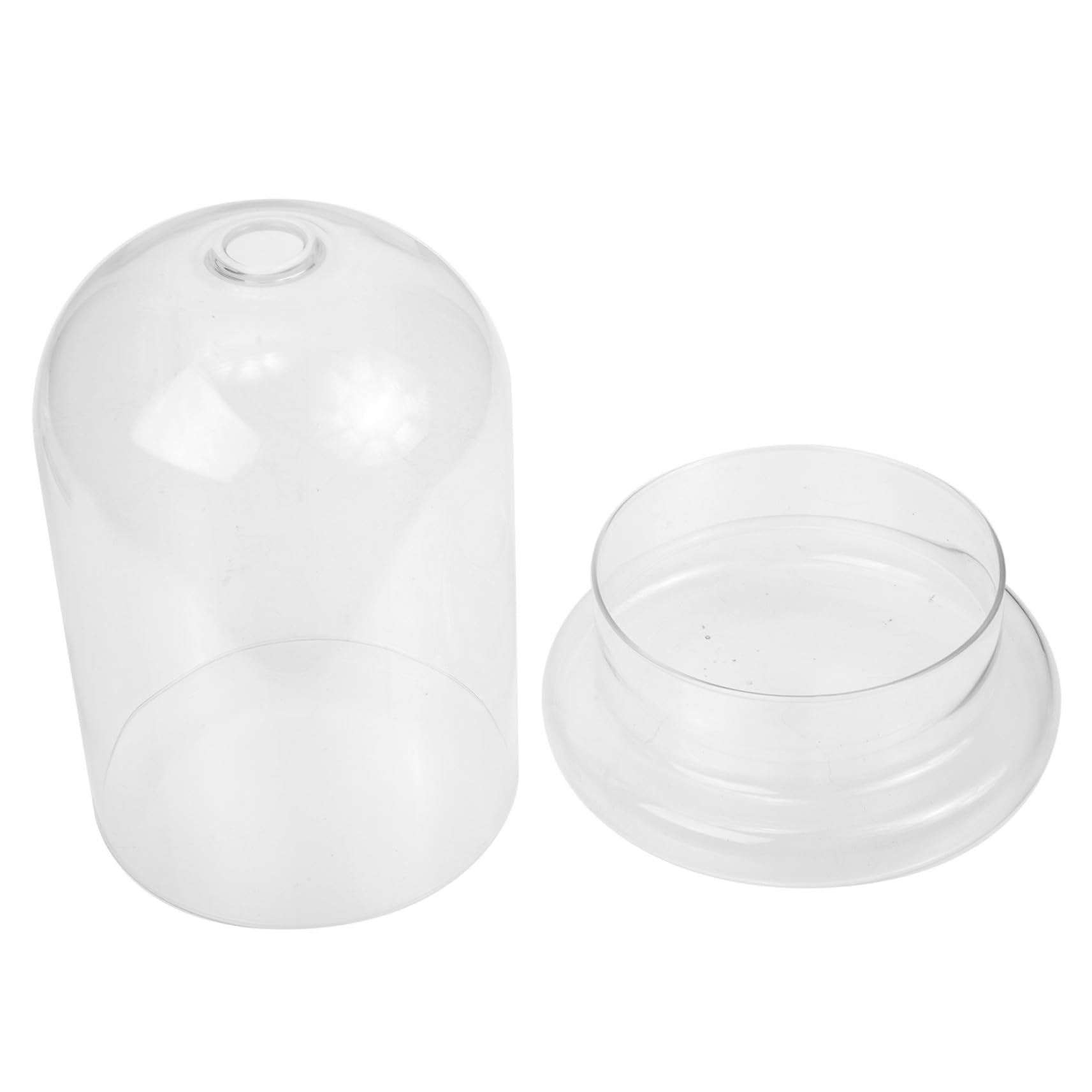 Cloche en verre transparente en U pour micro-paysage et décoration de table