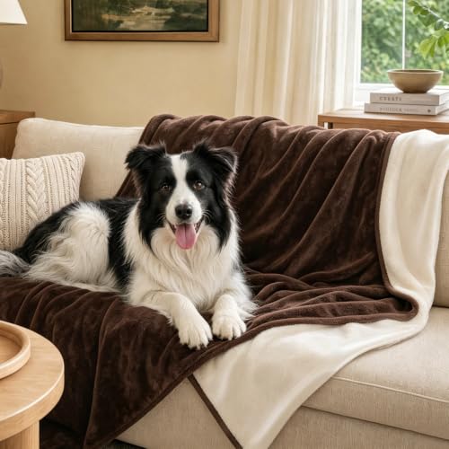 Image of LOOBANI Waterproof Pet Blanket for Couch, Throw Size 50 inchx60 inch, Coffee | Double-Side Liquid Proof Cozy Flannel, Reversible, Stain-Proof Couch Cover for Small Medium Dogs Bed Crate Furniture