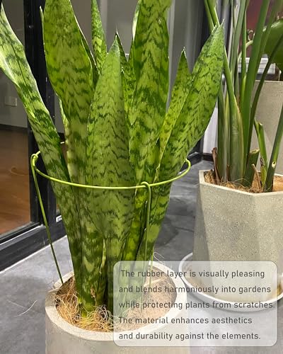 Yeoaum 3 Pack Plant Support Stakes thumb #4