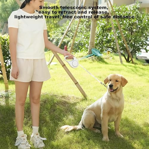 Laisse rétractable pour chien avec LED | Balade nocturne sécurisée - 6
