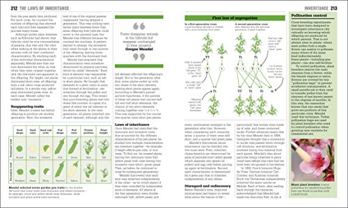 The Biology Book: Big Ideas Simply Explained (DK Big Ideas) - Image 10