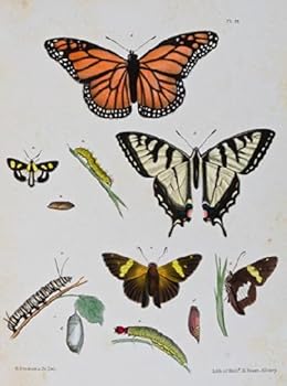 AGRICULTURE OF NEW YORK: COMPRISING AN ACCOUNT OF CLASSIFICATION... Natural History of New York Agriculture Part V