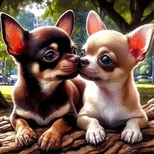 GEMFAMILY Animals Diamond Art Kits for Adults,Chihuahuas Dog 5D Diamond Painting kit for Beginner,DIY Full Round Drill Diamond Gem Art Crafts for and Home Wall Decoration 13.8 x 13.8 inch