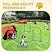 DWVO Dog Agility Accessories Kit: Comprises of a Teaser Pole, 3 Hurdles, 3 Flying Discs, 6 Weaving Poles, 2 Agility Tunnels, Pause Box, Full Set of Agility Equipment for Backyard Indoors Outdoors