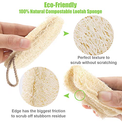 Image of Natural Loofah Kitchen Sponges, 20 PCS Natural Sponge for Dishes, Cleaning, 100% Biodegradable Compostable Vegetable, Eco Friendly Sponges, Non-Scratch, No Odor Scrubber