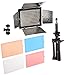 LimoStudio LED 160 Photographic Lighting Kit, Photo Studio Barndoor Light, Continuous Video Light, AGG1273