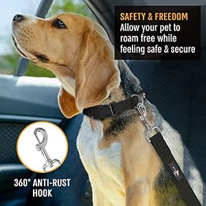 Active Pets Dog Car Harness - Pack of 1 Dog Seatbelts for Cars, Trucks, Travel - Tether Belt for Small & Large Dogs - Black Active Pets Dog Car Harness – Pack of 1 Dog Seatbelts for Cars, Trucks, Travel – Tether Belt for Small & Large Dogs – Black
