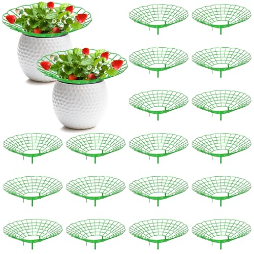 Pumtus 20 Pack Strawberry Supports, Strawberry Plant...