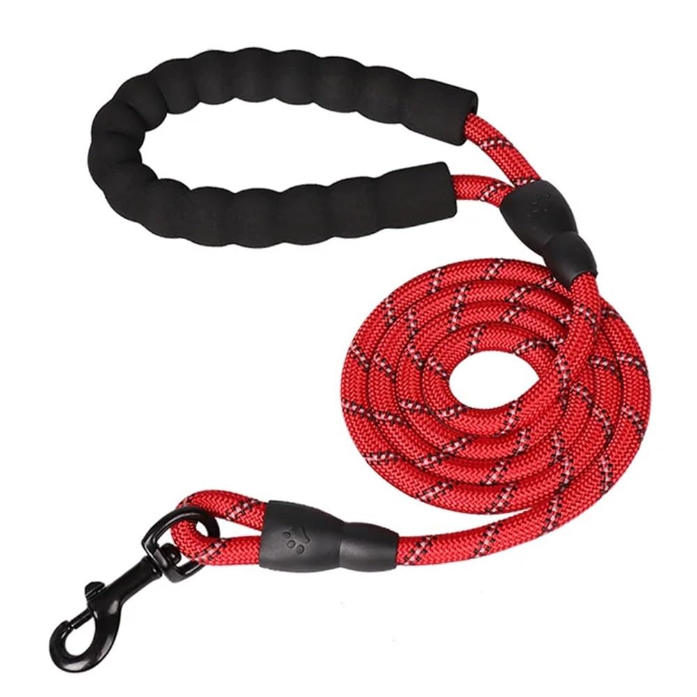 Longe pour chien et laisse de chien forte pour animaux de compagnie de grande et petite taille