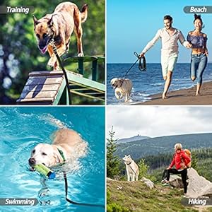 Long Leash for Dog Training  50ft Adjustable Obedience Recall Dog Training Leash for Large Medium Small Dogs with Storage Pouch Black  Cucciolini Doodles Long leash for dog training  50ft adjustable obedience recall dog training leash for large medium small dogs with storage pouch black   cucciolini doodles