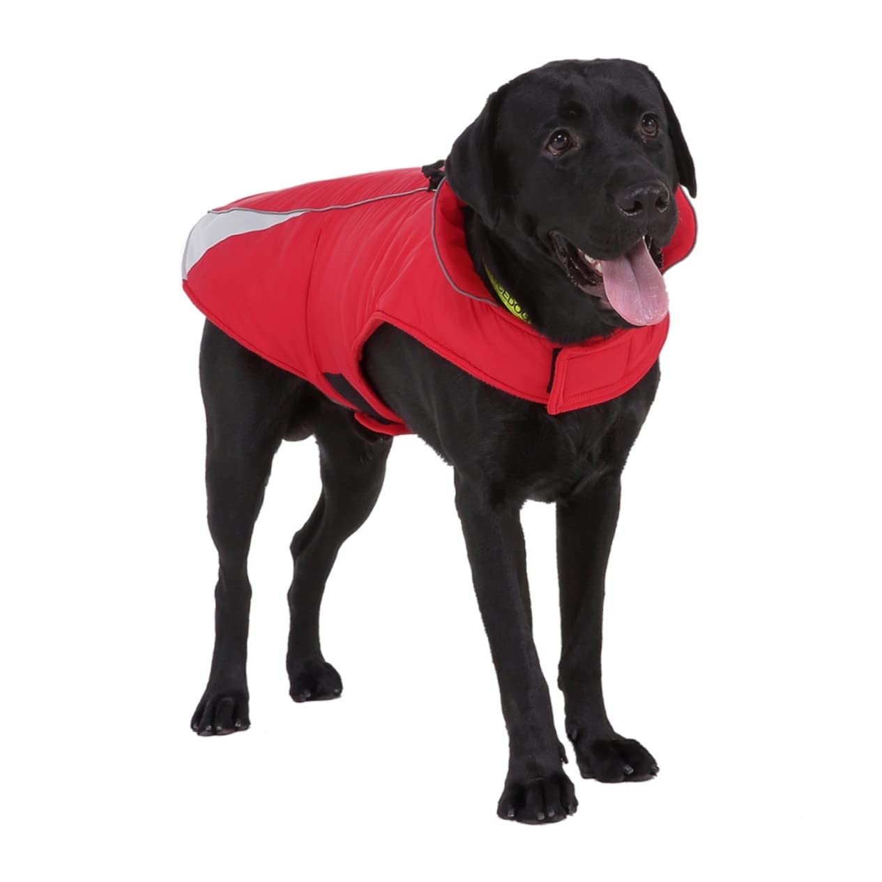 Manteaux de Pluie pour Chien imperméables, imperméable pour Chien, 2 pièces en Tissu pour Chien de fête, Gilet réflecteur pour Animal de Compagnie, vêtements p