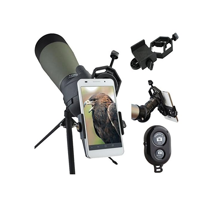 Buy AccessoryBasics Binocular Spotting Scope Telescope Microscope