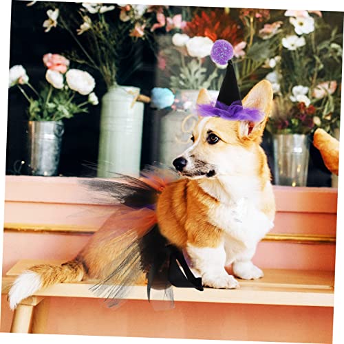 Disfraz Halloween para mascotas con sombrero y falda miniatura 7