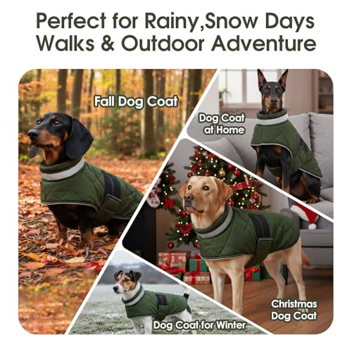 ASENKU Hundemantel für Kleine Hunde XS, Hundemantel Winter Wasserdicht, Fleece Reflektierende Hundejacke Warm mit Verstellbarem,Wintermantel Hund mit Geschirr Loch Karierte für Chihuahua,Dackel