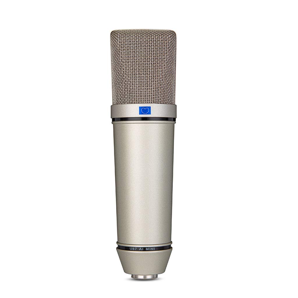 Microphone pour karaoké et live broadcast à brancher sur votre PC