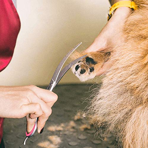 Image of Gimars 7.0in Professional 4CR Stainless Steel Safety Round Tip 6 in 1 Dog Grooming Scissors Heavy Duty Titanium Coated Pet Grooming Scissor for Dogs, Cats and Other Animals