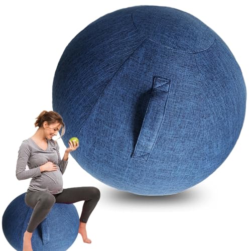 AOLIAZMAX Yoga Ball Cover - Pilates Exercise Yoga Ball Cover, Anti Scratch Exercise Ball Cover with Handle for 55/65/75cm Birthing Ball, Stability Ball, Balance Ball (Without Ball)