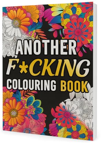 Secret Santa divertente libro da colorare – Libro da colorare per adulti per alleviare lo stress | Immagini esilaranti con pagine di parole giurate | Regalo segreto perfetto di Babbo Natale per lei