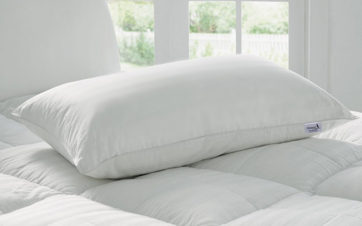 See full amazon price history chart for Story@Home White Pillow Set of 1 Sleepwell | 46 x 69 cm Neck Pillow | Plain Pattern Microfibre Bed Pillow with Pillow Cover | 100 GSM Hypoallergenic Pillow Story@Home White Pillow Set of 1 Sleepwell | 46 x 69 cm Neck Pillow | Plain Pattern Microfibre Bed Pillow with Pillow Cover | 100 GSM Hypoallergenic Pillow (B01B4DIBZ2) Amazon Price History, Amazon Price Tracker