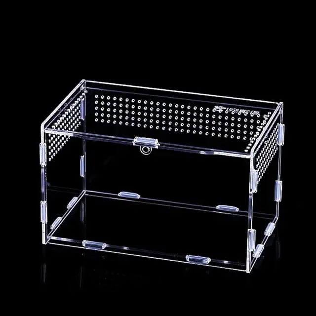 Plastic Terrarium Box for Reptiles & Insects - Portable Acrylic Habitat