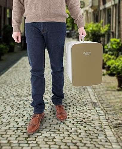 cooluli 15 liter mini fridge