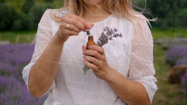 Amazon.com: GuruNanda Frankincense Essential Oil, 100% Pure