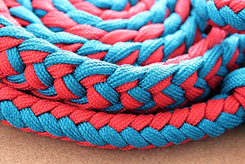 Hilason Braided Poly Barrel Racing Contest Flat Reins 1" X 8Ft Red Wih Blue | Barrel Horse Reins | Racing Reins | Contest Reins | Western Reins | Barrel Reins For Horses | Weaver Barrel Reins #TOP4