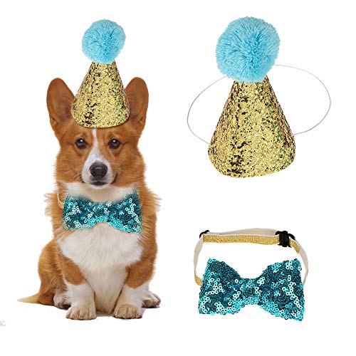 HEEPDD 2 Stück Geburtstag Hut, Haustier Hund Katze Geburtstag Caps Wiederverwendbare Headwear Bowknot Party Kostüm perfekte Hund oder Welpen Geburtstagsgeschenk (Blau) Cover