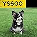 Dogtra YS600 No Bark Collar - Rechargeable, Waterproof, Durable, Lightweight - Personalize Stimulation Levels - Effective for Dogs of All Breeds and Temperaments - Bonus Grooming Glove Included