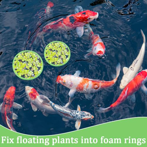 CREATCABIN 10Pcs Fish Feeding Rings Set Aquarium Floating Plant Rings 5 Sizes Foam Floating Plant Corral Round Fish Feeder Rings Fish Tank Plant Ring for Bettas Fish Aquarium Accessories Green - Image 4