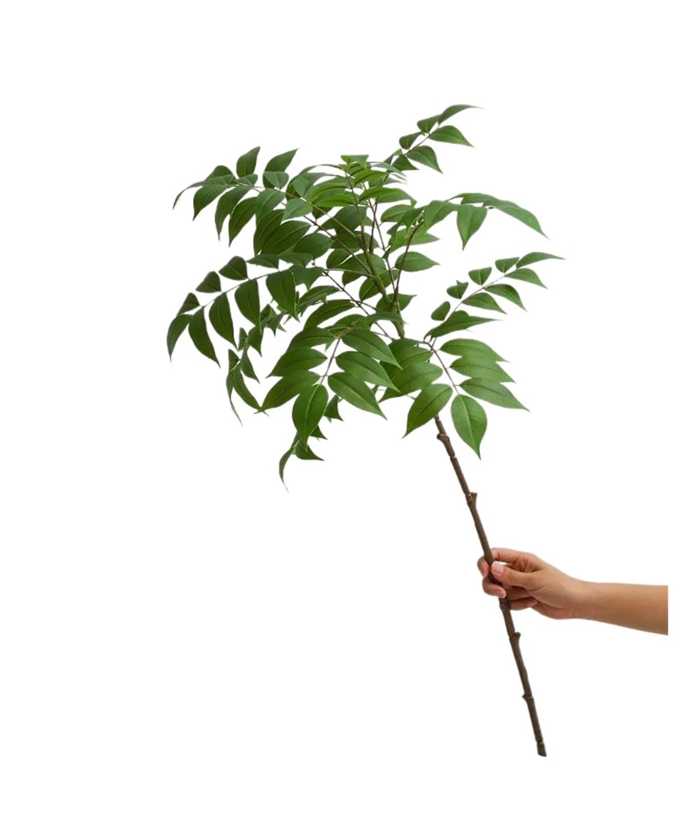 Casetlong 1pc 88cm Artificial Flower Fake Greenery Faux Hanging Foliage Branch Wedding Decoration Home Decor Green(Wisteria Plant)
