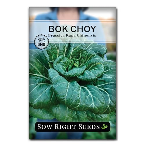Sow Right Seeds - Bok Choy Seeds for Planting - Pak Choi or Chinese Cabbage - Non-GMO Heirloom Variety - Fresh Asian Greens in Your Home Vegetable Garden - Grow Outdoors or Indoors in Hydroponics (1)