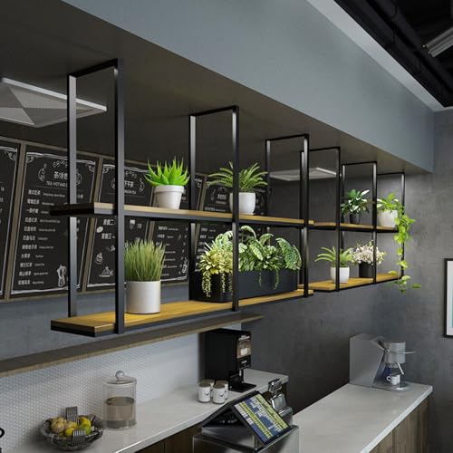 AYVADA Estante de Techo, Estante de Pared para vinos, Estante de exhibición de vegetación, Soporte de Almacenamiento Flotante de 2 Capas, estantes Colgantes de Metal para Cocina, despensa, Barra (1