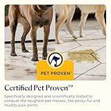 BISSELL SpotClean Pet, Carpet Cleaner, Portable Spot Cleaner, Spills & Carpet Stain Remover with HeatWave Technology, Upholstery Cleaner, Carpets, Stairs, Car Seat, Mattress & Sofa Cleaner, 36982 - Image 8