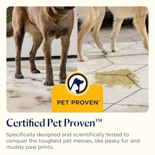 BISSELL SpotClean Pet Portable Spot Cleaner 36982