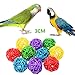Anteer 12 Packs Bird Parrot Swing Chewing Toys - Hanging Bell Birds Cage Toys Suitable for Small Parakeets, Cockatiel, Conures,Finches,Budgie,Macaws, Parrots, Love Birds