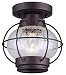 Canarm IFM636A08ORB LTD Potter 1 Light Flush Mount Oil Rubbed Bronze with Seeded Glass