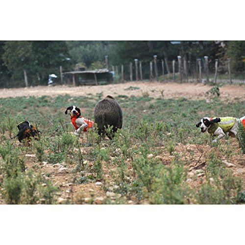 Browning Hundeschutzweste Protect Hunter Schutzweste (55)